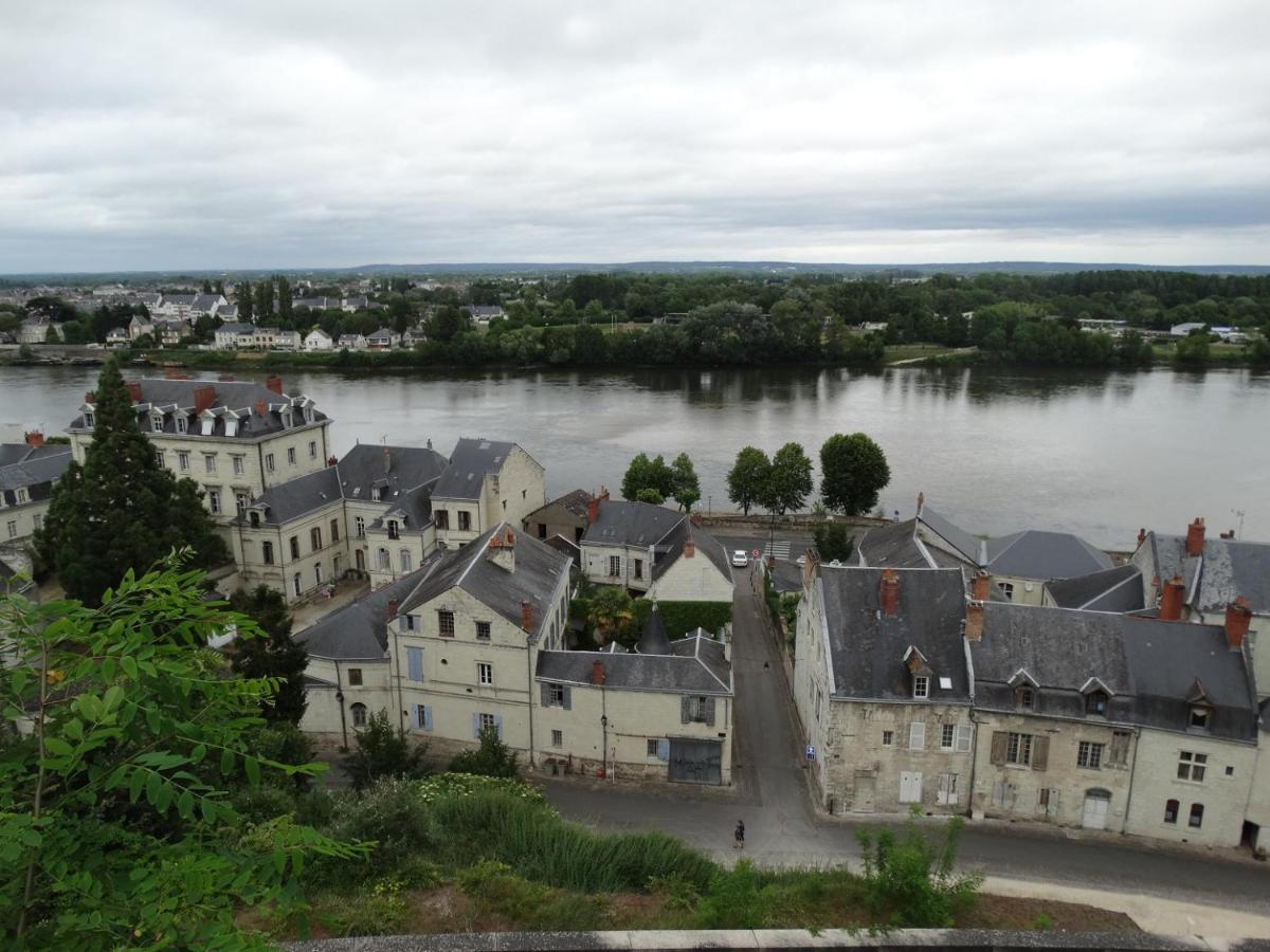 Vue Splendide Sur Chateau Сомюр Экстерьер фото
